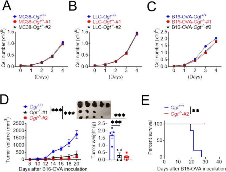 Figure 6—figure supplement 1.