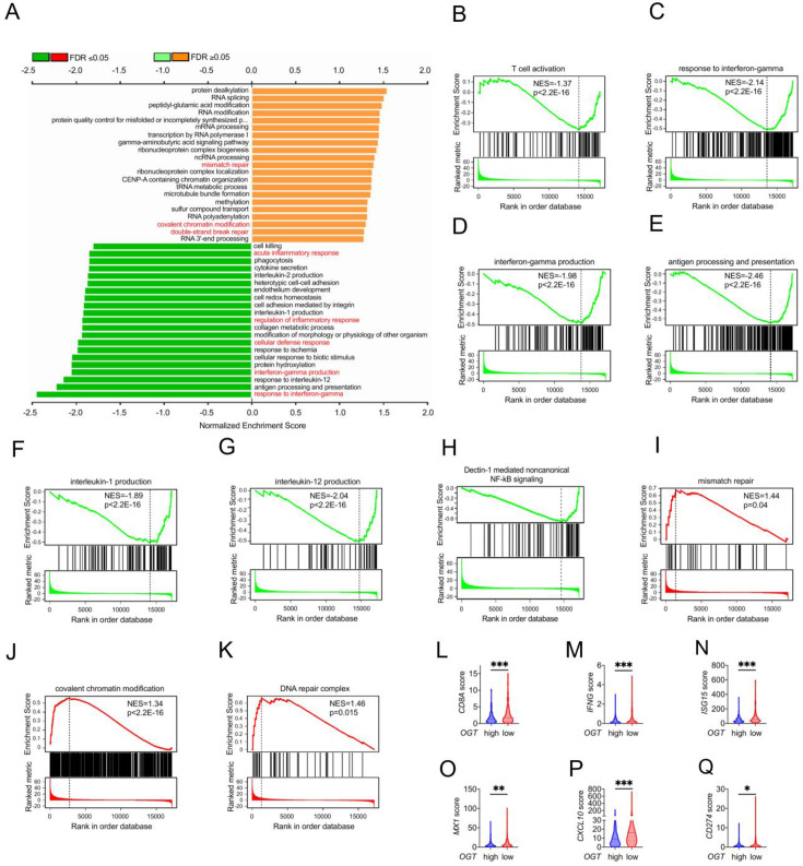 Figure 6—figure supplement 4.