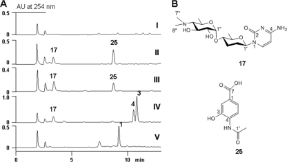 Fig 5