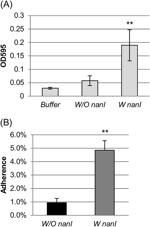 FIG 2