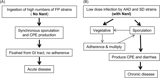 FIG 6