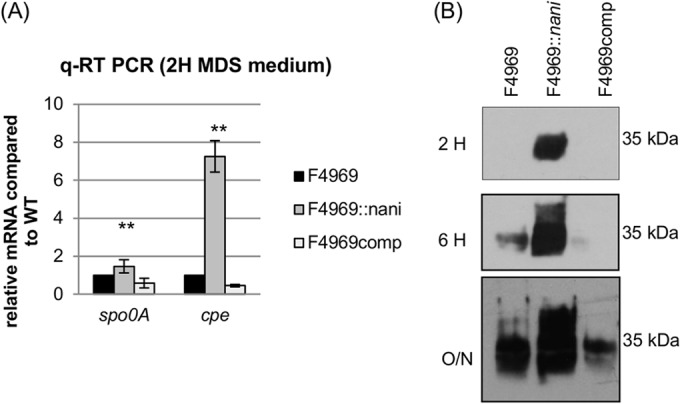 FIG 5