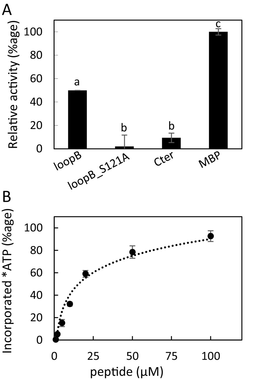 Fig. S9.