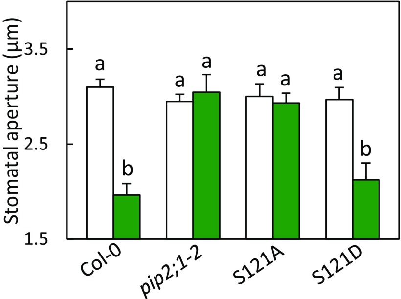 Fig. S11.