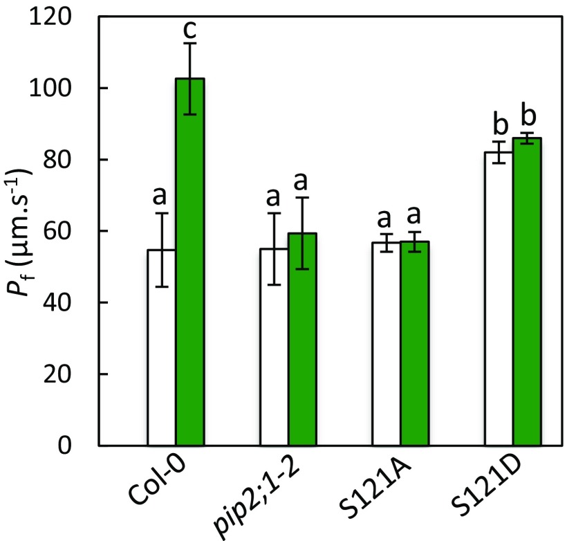 Fig. S8.