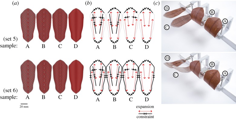 Figure 5.