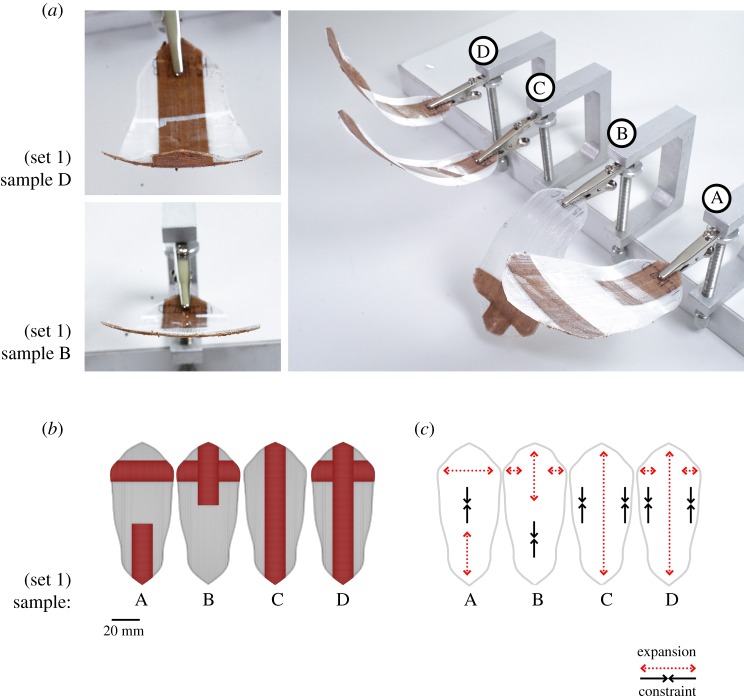 Figure 2.