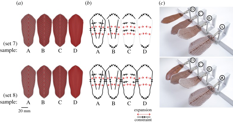 Figure 7.