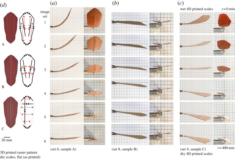 Figure 6.