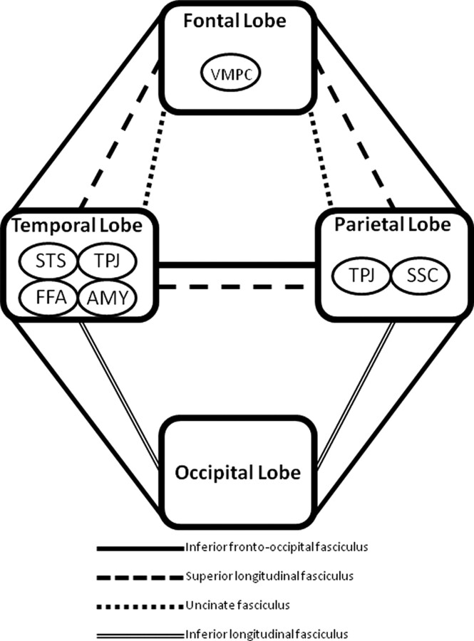 Fig 1.