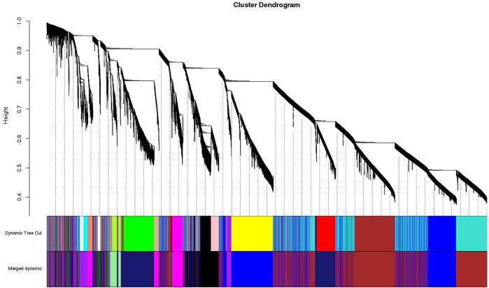 FIGURE 3