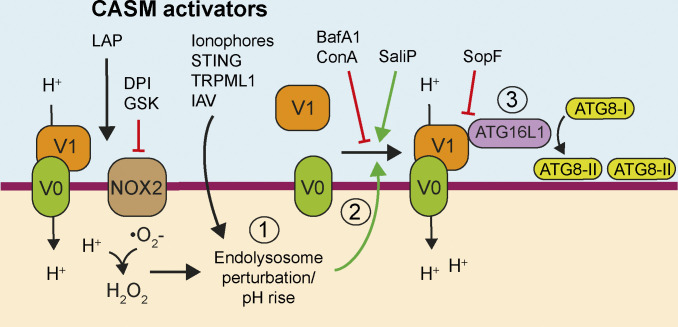 Figure 10.