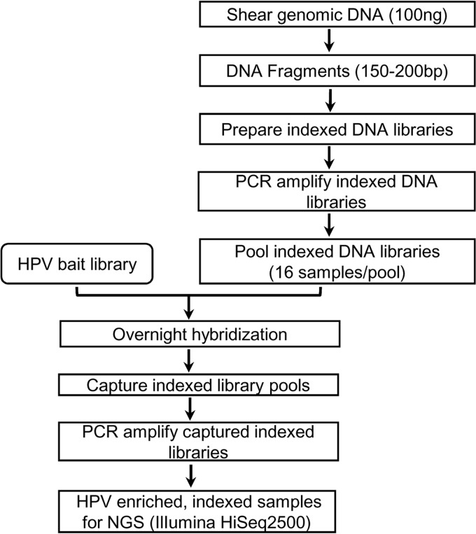 FIG 4