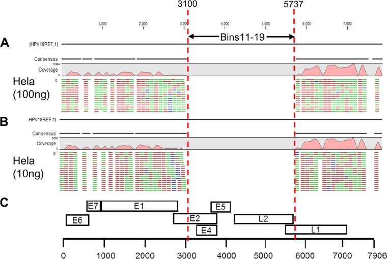 FIG 3