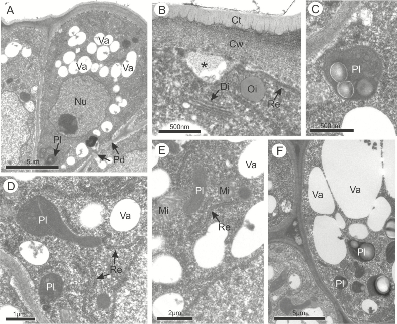 Figure 3.