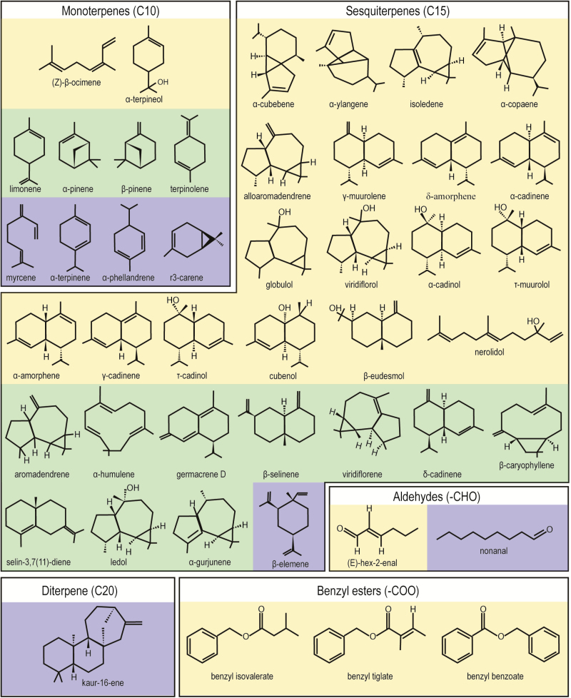 Figure 7.