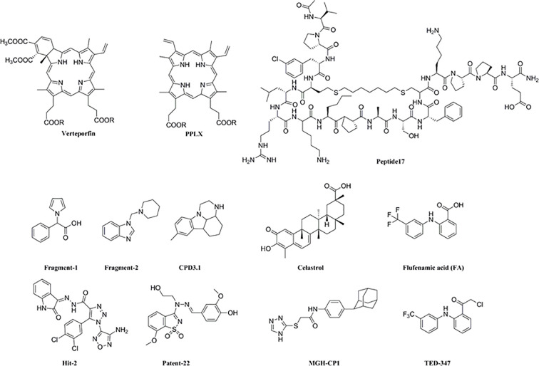 Figure 5