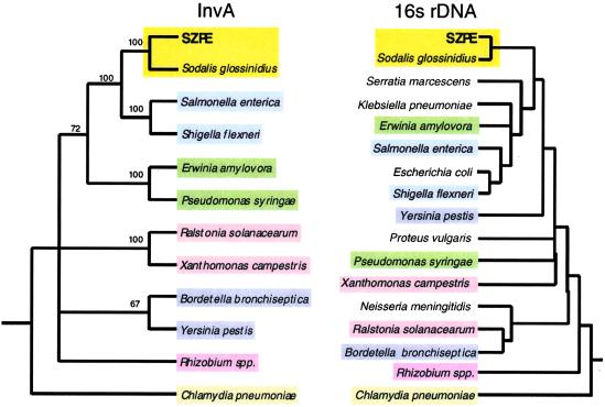 Fig 1.