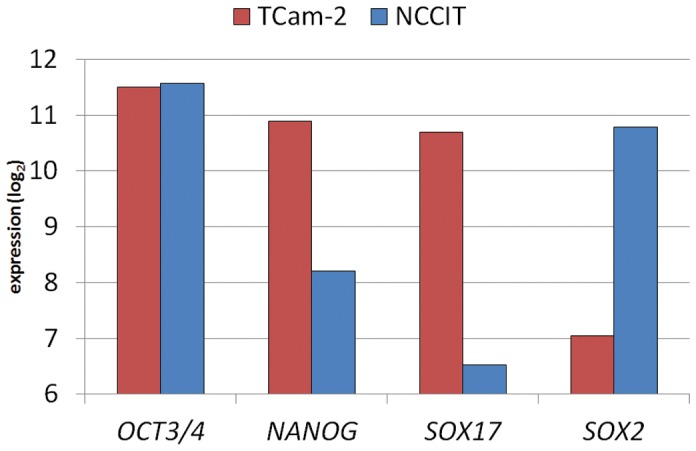 Figure 5