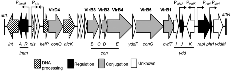 Fig.1.