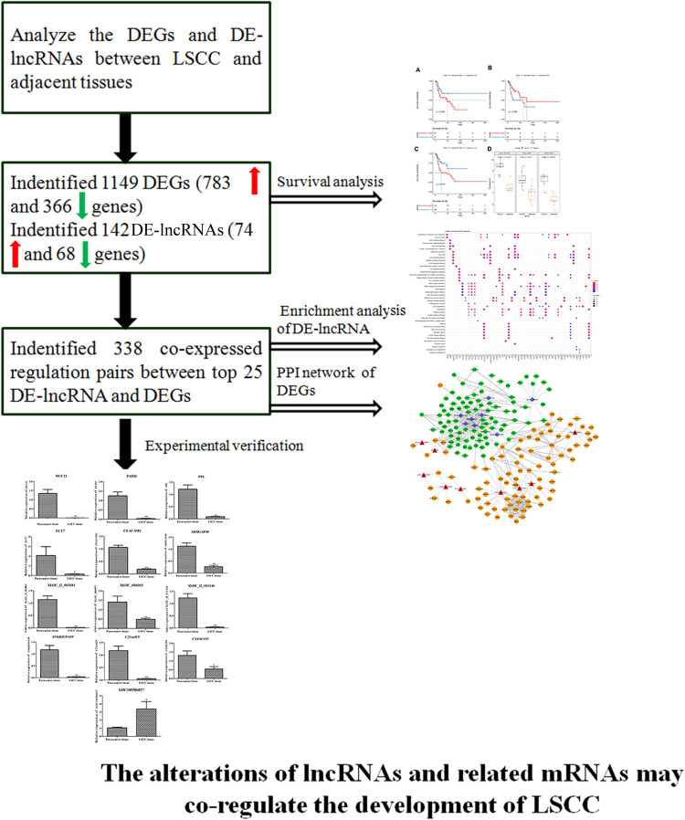 graphic file with name j_biol-2021-0052-ga001.jpg