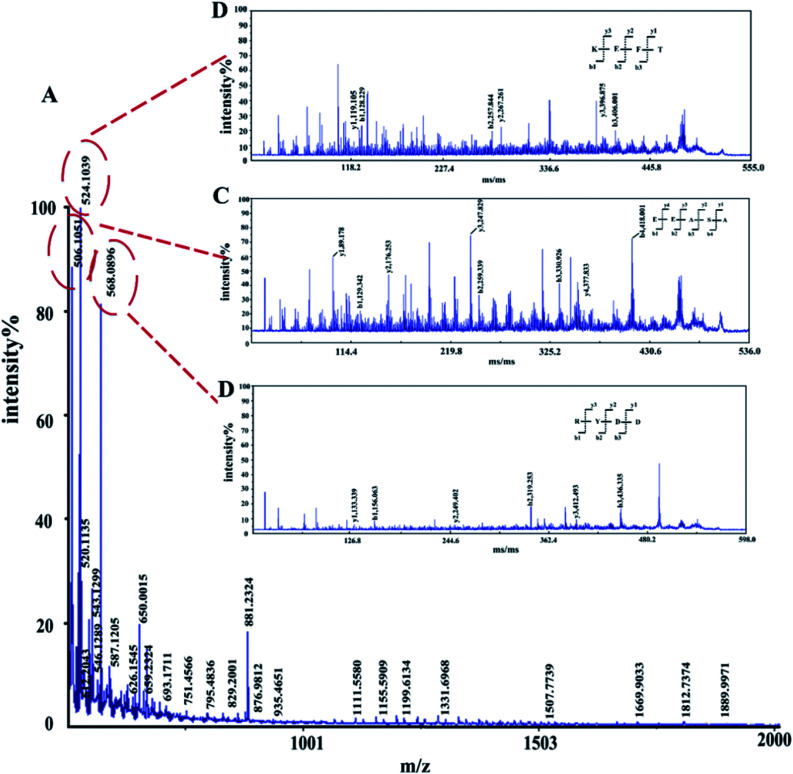 Fig. 3