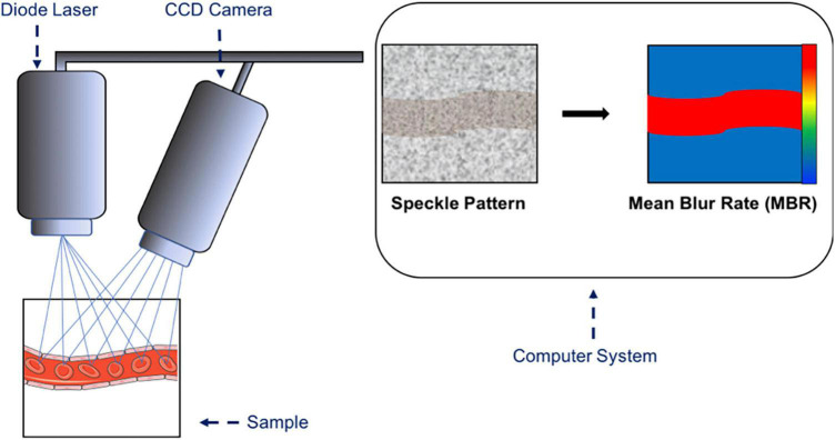 FIGURE 4