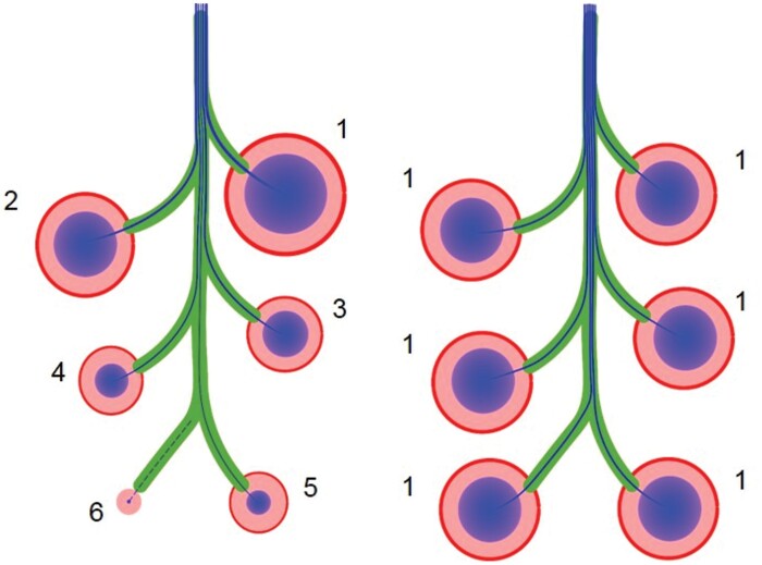 Fig. 5.