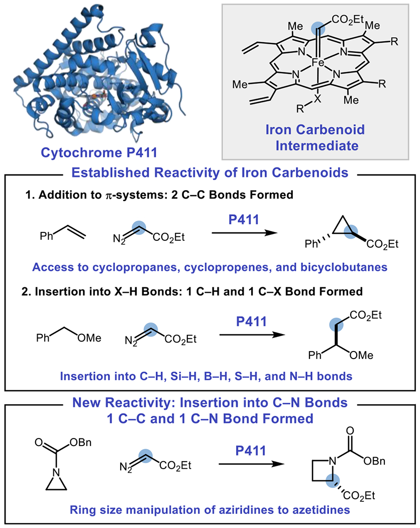 Figure 1: