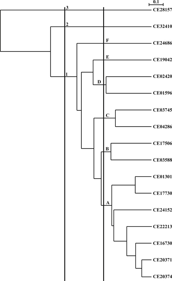 Figure 2