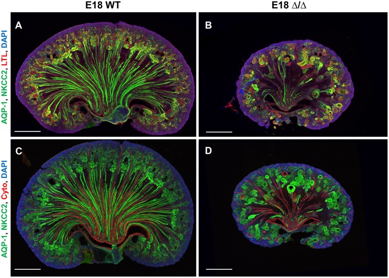 Fig. 8.