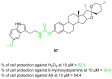 Figure 51