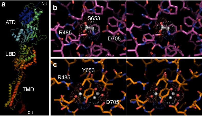 Figure 1—figure supplement 3.