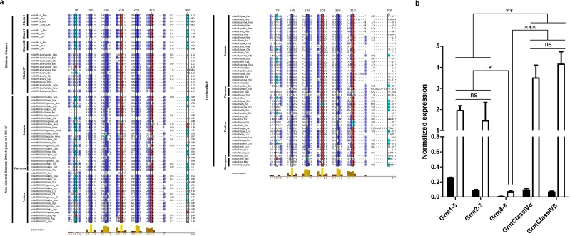 Figure 6—figure supplement 2.