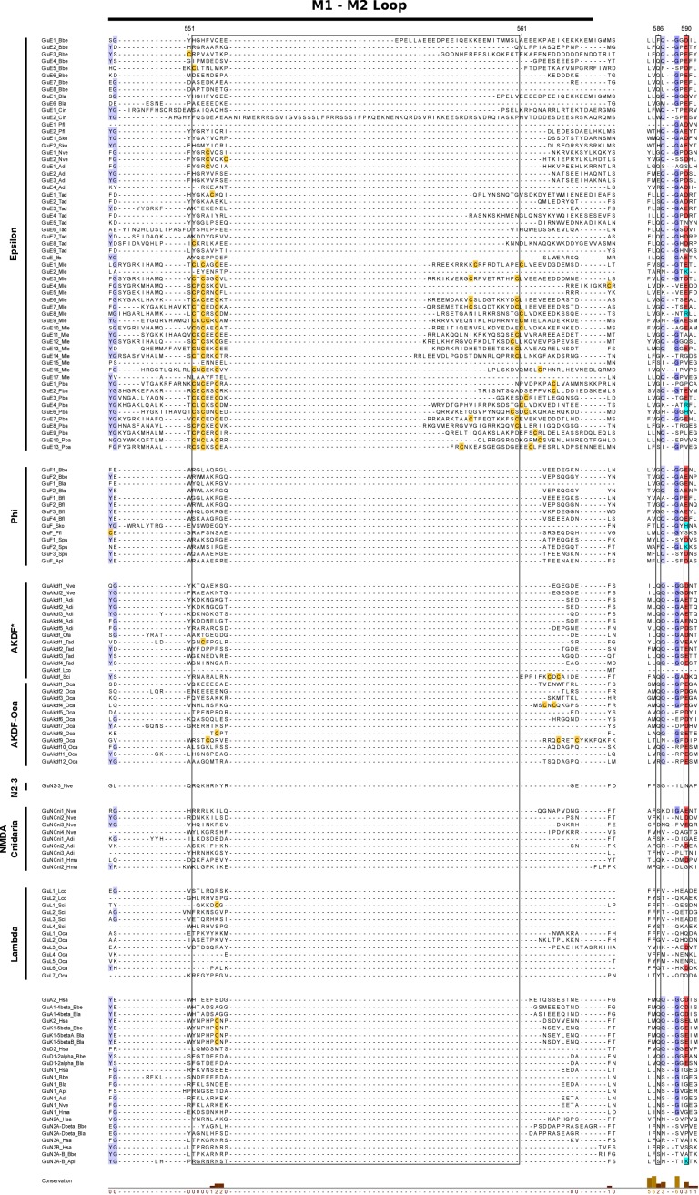 Figure 1—figure supplement 4.