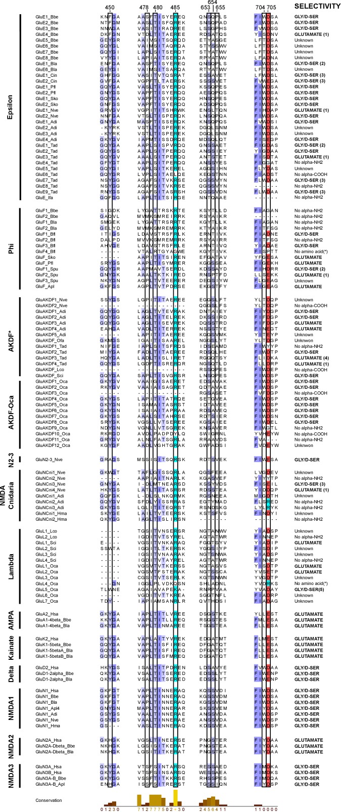 Figure 1—figure supplement 5.