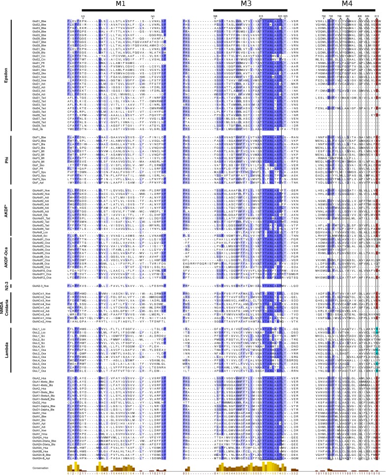 Figure 1—figure supplement 2.