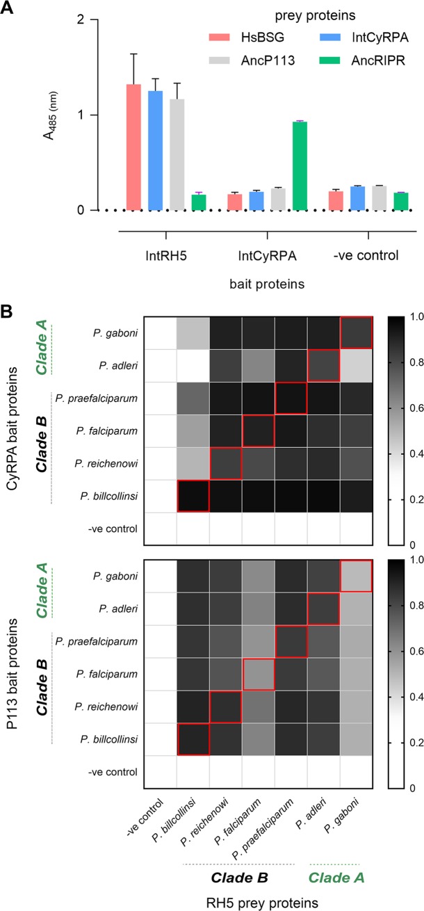 Fig 3