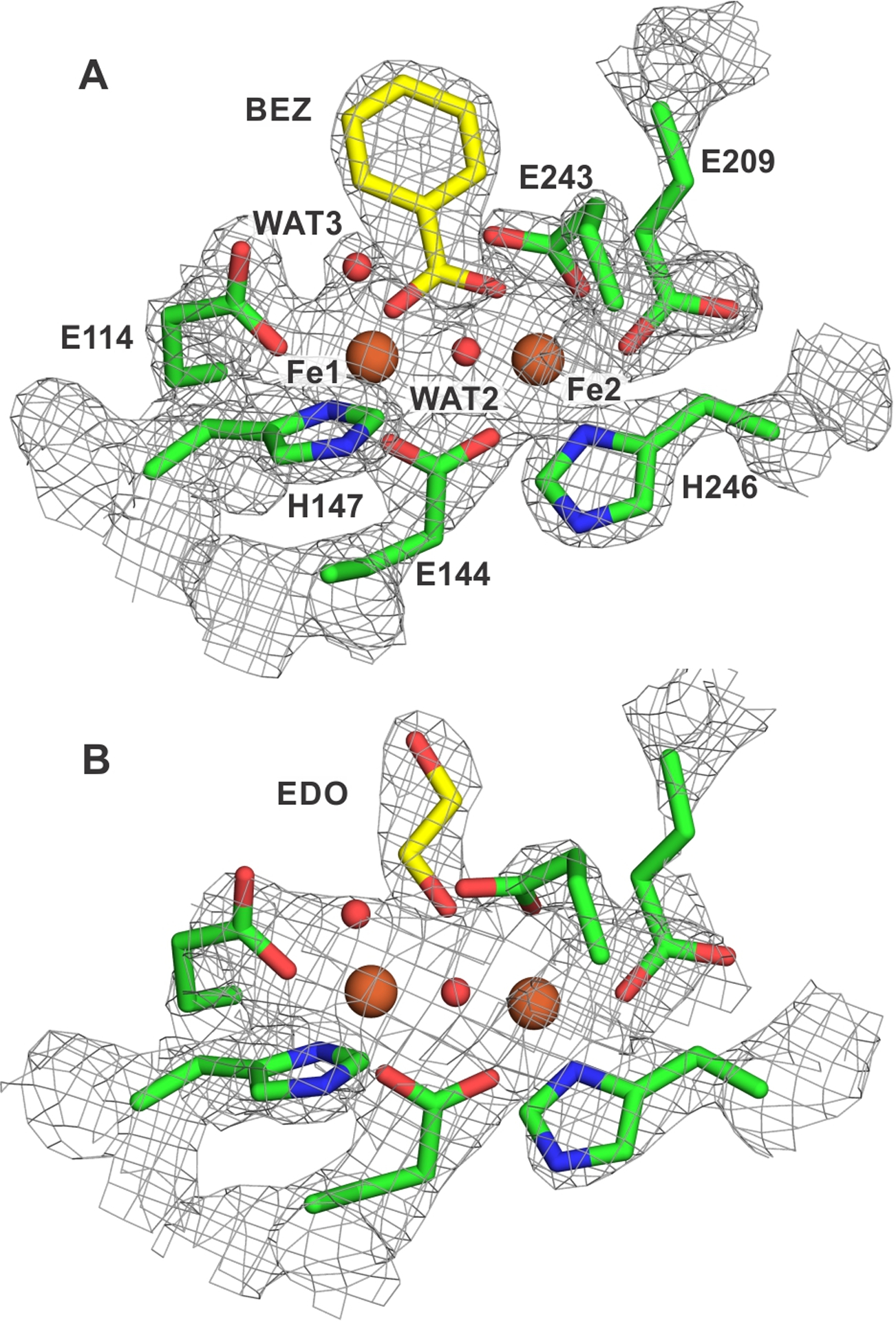 Figure 2.