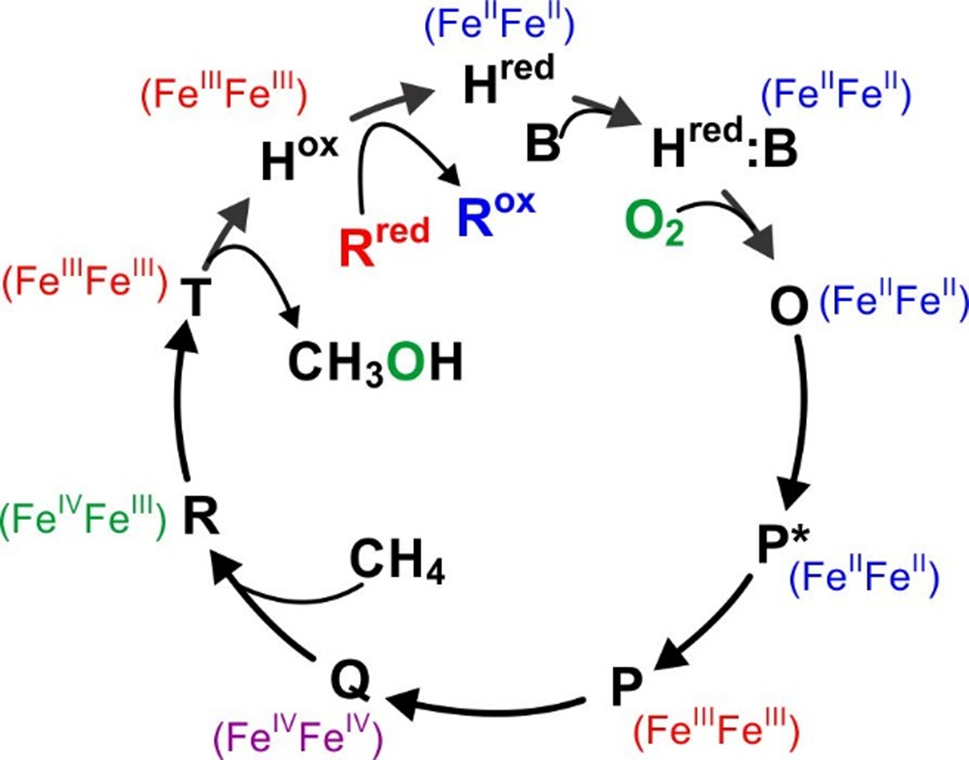 Scheme 1.