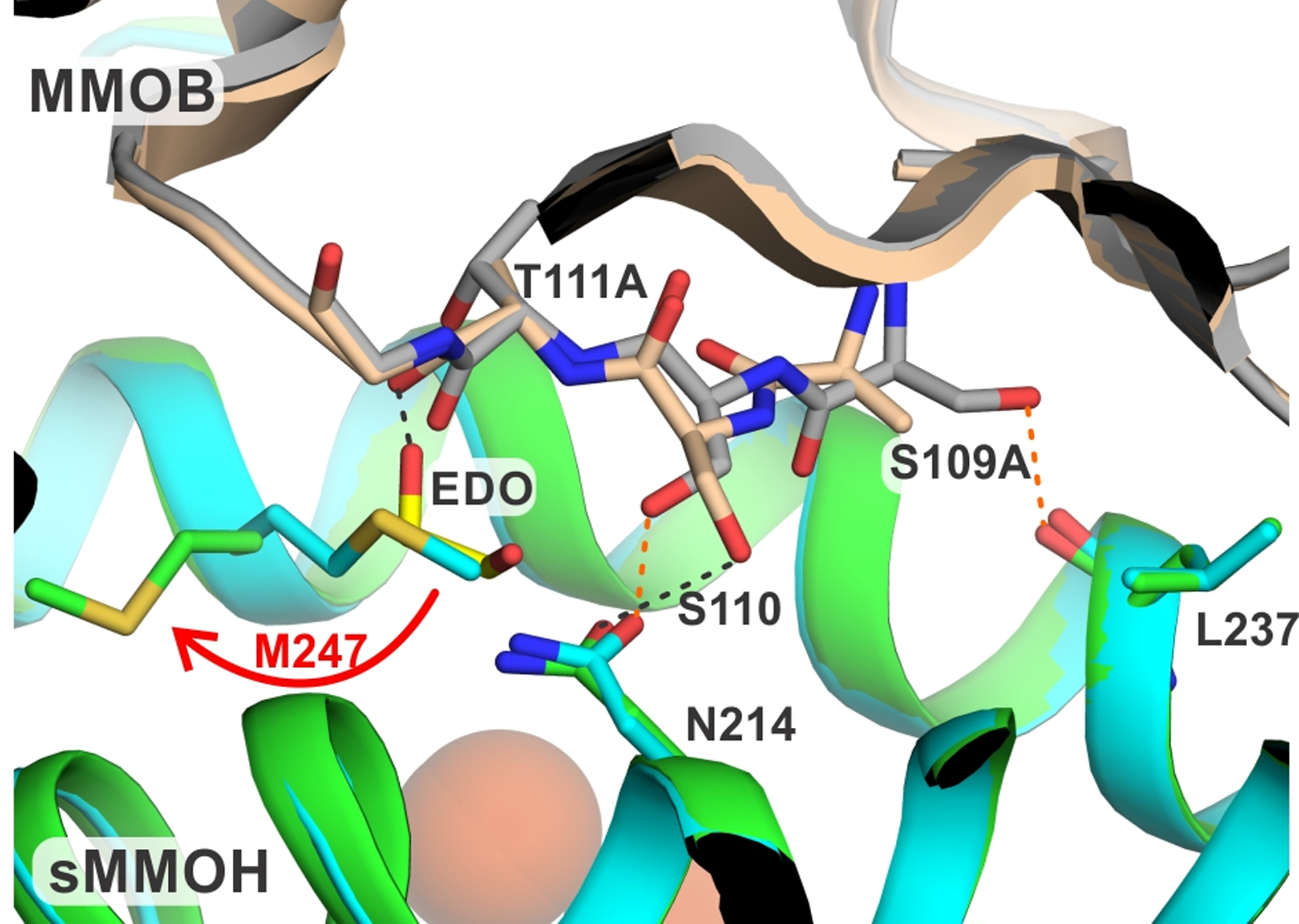 Figure 3.