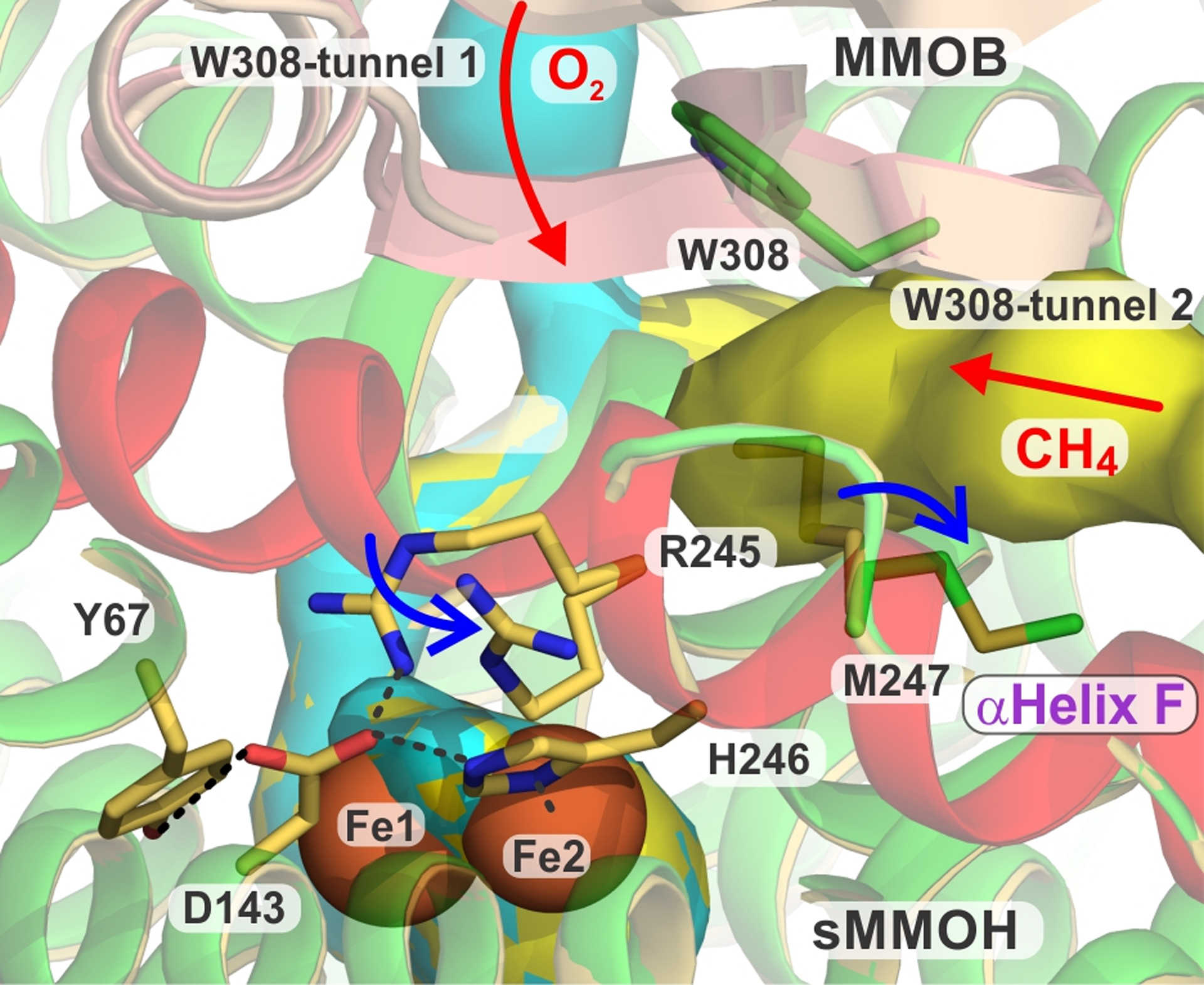 Figure 11.