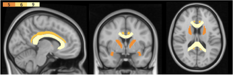 Fig. 10