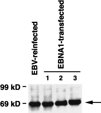 FIG. 6