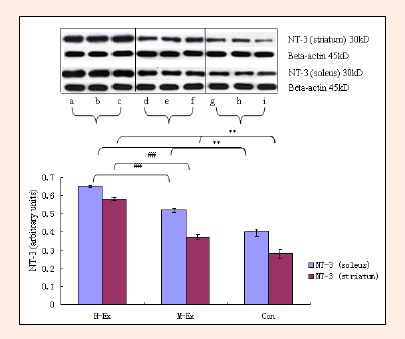 Figure 9.