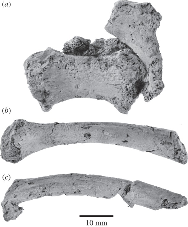 Figure 12.