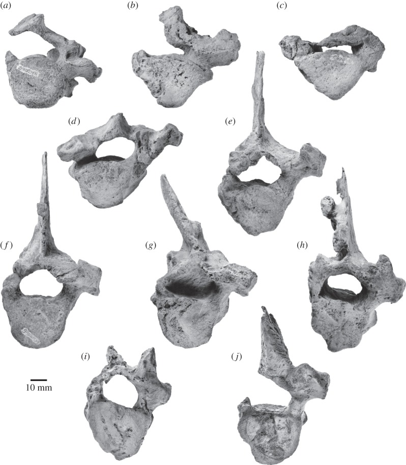 Figure 15.