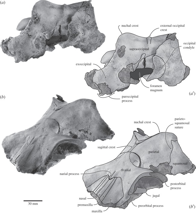 Figure 3.