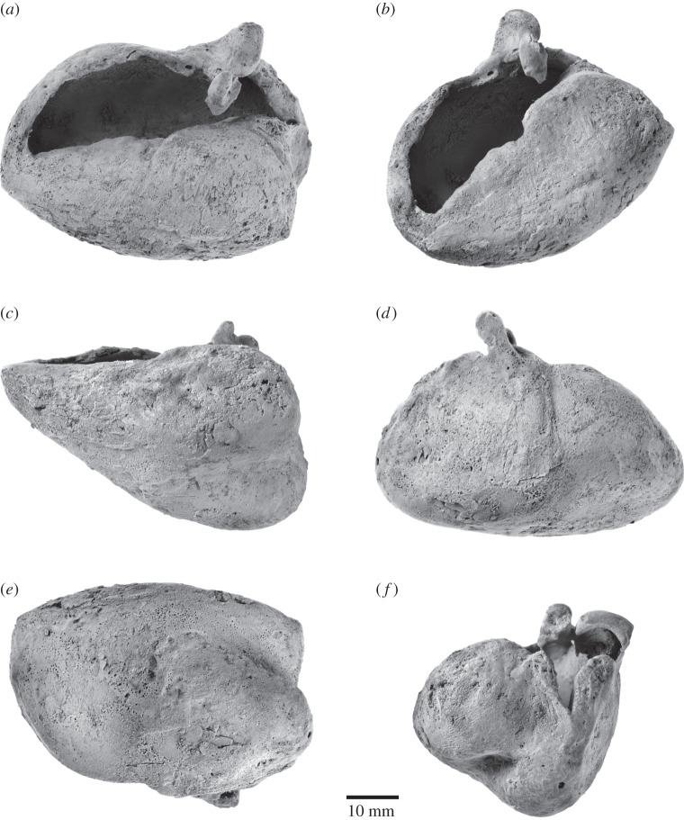 Figure 7.