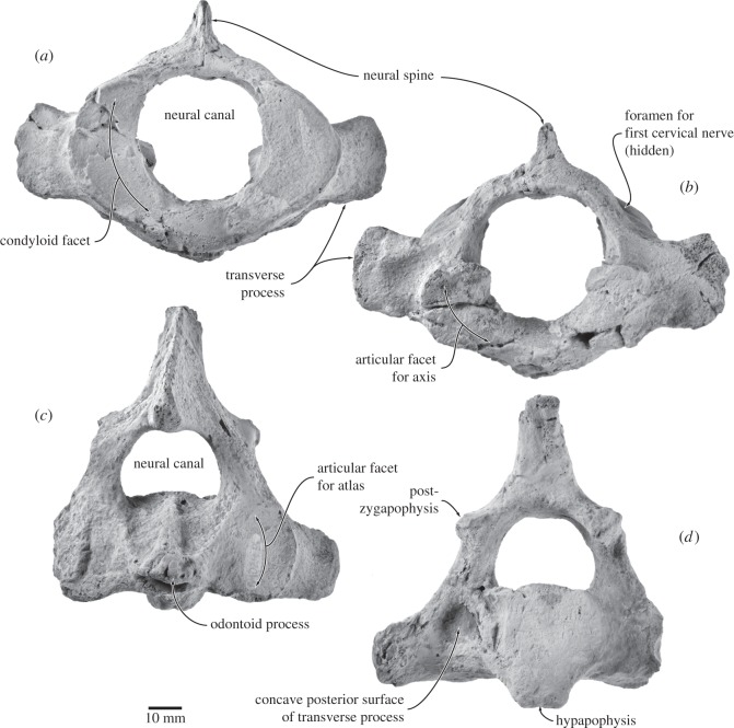 Figure 13.